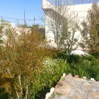 باغ و ویلا ومرکز تولید قارچ|فروش دفتر صنعتی، کشاورزی، تجاری|ماهیدشت, |دیوار