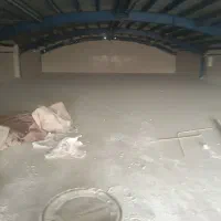 گچکاری در شکوهیه|خدمات پیشه و مهارت|قم, چهل درخت‎|دیوار