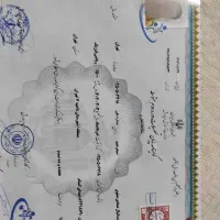 مدارک لیسانس دکترا