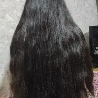 خریدار اصلی مو پرداخت قبل کوتاهی،قیمت بالاتر ازهمه