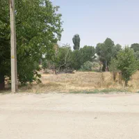زمین سیفی کاری وباغی|فروش زمین و ملک کلنگی|همدان, |دیوار