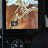 دوربین|دوربین عکاسی و فیلم‌برداری|پرند, فاز ۵|دیوار