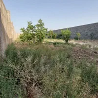 باغ چهاردیواری ۸۰۰ متر دهشاد شهریار نعمت آباد بکه|فروش دفتر صنعتی، کشاورزی، تجاری|شهریار, دهشاد بالا|دیوار