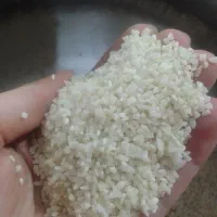 برنج نیم دانه دورود|خوردنی و آشامیدنی|پاکدشت, شهرک امام رضا|دیوار