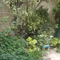 سرایداری و نگهبانی