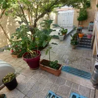 نزدیک بیمارستان الزهرا خانواده میلاد|اجارهٔ کوتاهمدت آپارتمان و سوئیت|اصفهان, کوی امیریه|دیوار