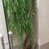 درختچه بید مصنوعی