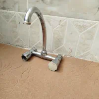 شیر دسشور سالم
