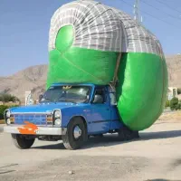 کاه گندم درجه یک نرم