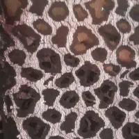 لباس کوردی توری|لباس|مهاباد (آذربایجان غربی), |دیوار