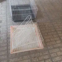 قفس