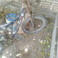 شوش|دوچرخه، اسکیت، اسکوتر|کرخه, |دیوار