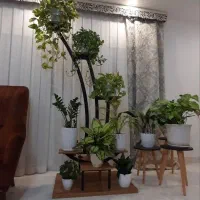 استند فلزی گل