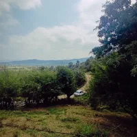 1500مسکونی کوهستانی بر اسفالت|فروش زمین و ملک کلنگی|احمدسرگوراب, |دیوار