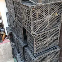 سبد مناسب گوجه