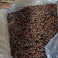 کشمش آفتابی آبگیری|خوردنی و آشامیدنی|ساوه, |دیوار