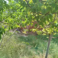 زمین-ملکی-مسکونی-قابل-ساخت-دارای-امتیازات
