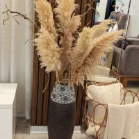 گلدون کنار سالنی ایکیا