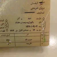 شناسنامه پیداشده