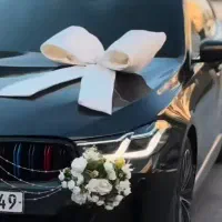 گل و پاپیون ماشین عروس