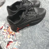 کفش اسپرت|کیف، کفش، کمربند|لردگان, |دیوار