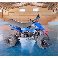 موتورچهارچرخ