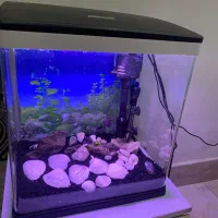 اکواریوم با لوازم کامل