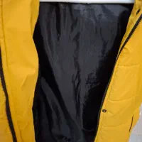 پافر|لباس|تبریز, |دیوار