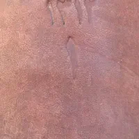 زین اسب|اسب و تجهیزات اسب‌سواری|کرمان, |دیوار