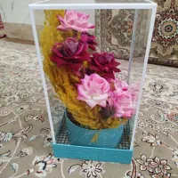 گل جاودان|گل مصنوعی|قم, آذر (نکویی)|دیوار