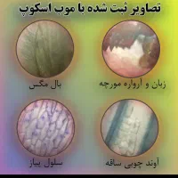 موب اسکوب|دوربین عکاسی و فیلم‌برداری|مشکین‌دشت, |دیوار