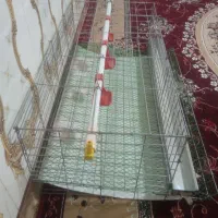 قفس بلدرچین تخمگذار