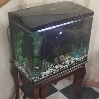 آکواریم خارجی زیبا