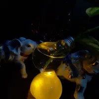 دکوری ،گیفت، هدیه