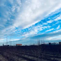 فروش-1000-متر-باغچه-بنادار