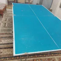 میز پینگ پنگ