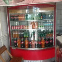 یخچال صنعتی
