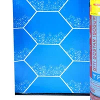 نمایندگی رسمی ایزوگام (پیروز۳۱۲) دلیجان در اسدآباد|خدمات پیشه و مهارت|اسدآباد, |دیوار
