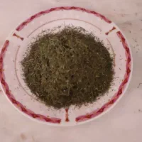 شوید تازه خوش عطر شوی نیشابور|خوردنی و آشامیدنی|تهران, عباس‌آباد|دیوار