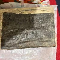 کتاب خطی (کلیله و دمنه)