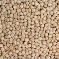 نخود درجه 1