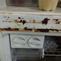 یخچال فریزر سینور|یخچال و فریزر|صدرا-فارس, فاز ۱|دیوار