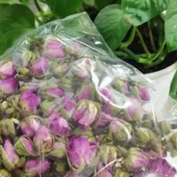 گل محمدی تازه تازه