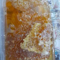 عسل (۱۰۰٪) طبیعی لرستان|خوردنی و آشامیدنی|تهران, زعفرانیه|دیوار