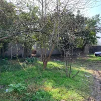 5100مترزمین مسکونی باغی وشالیزار۵دقیقه ساحل|فروش زمین و ملک کلنگی|رشت, منظریه|دیوار