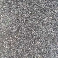 تخمه