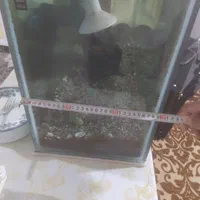 آکواریوم همراه لوازم کامل