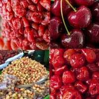 دستگاه خشک کن میوه آلو هلو شلیل سبزیd60plusخانگی|ماشین‌آلات صنعتی|گرگان, |دیوار