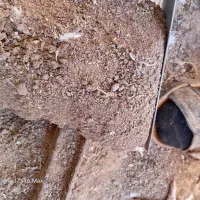 کود  مرغ نرم نرم