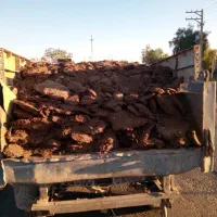 کود|خدمات باغبانی و درختکاری|بم, |دیوار